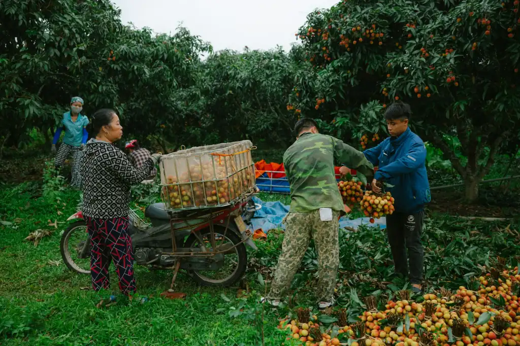 餐饮企业厨师服耐高温抗污工艺的行业标准与创新