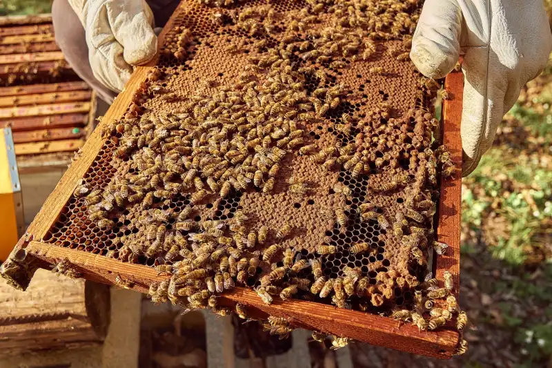 北京企业工装选购指南：厨师服与服务员服面料对比分析